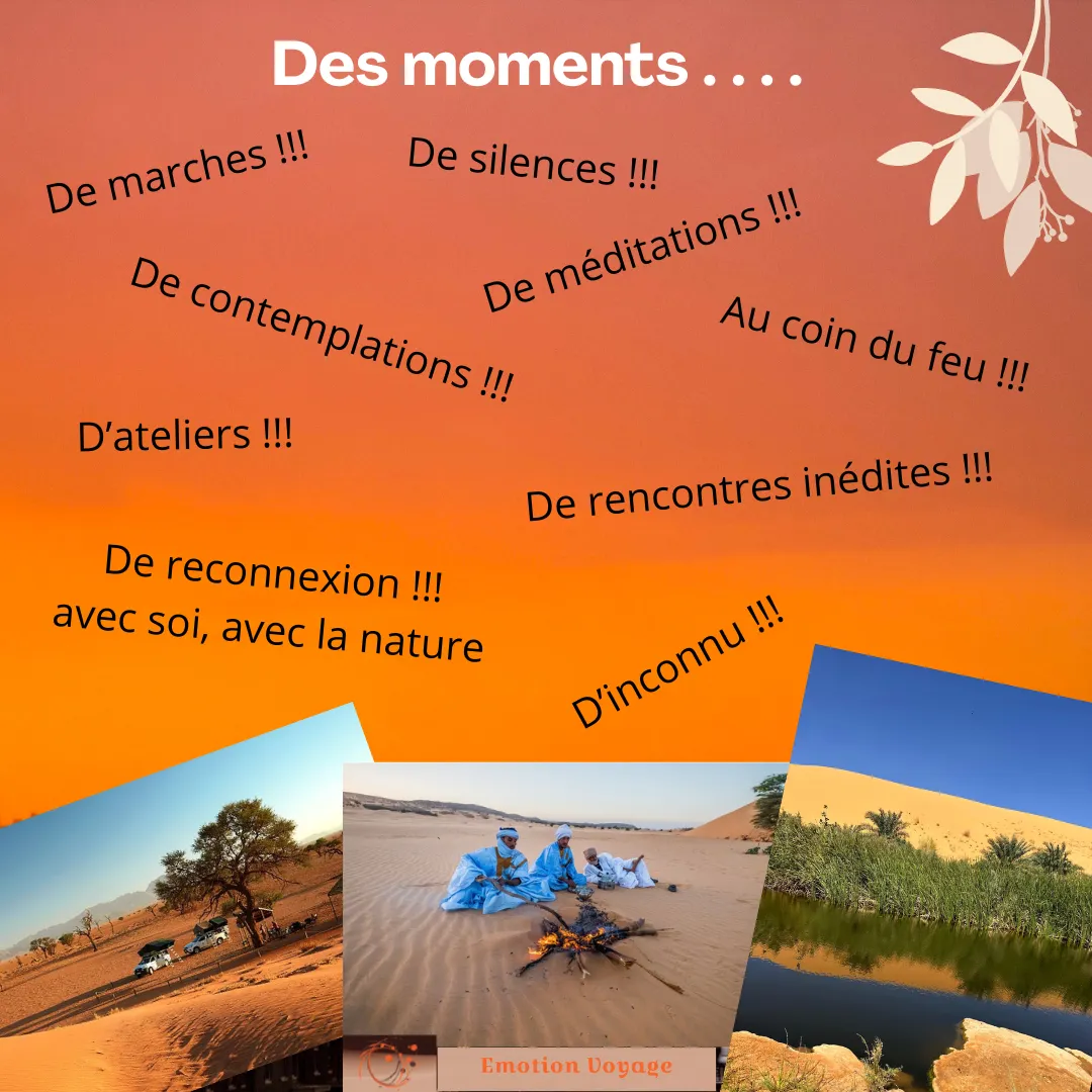 Programme du séminaire Afrique, trek 4x4 de novembre 2026 (3/6)
