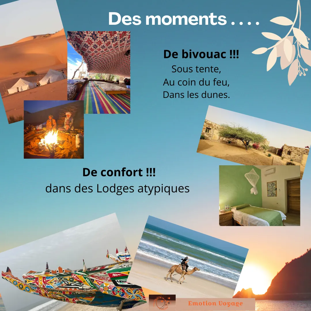 Programme du séminaire Afrique, trek 4x4 de novembre 2026 (4/6)