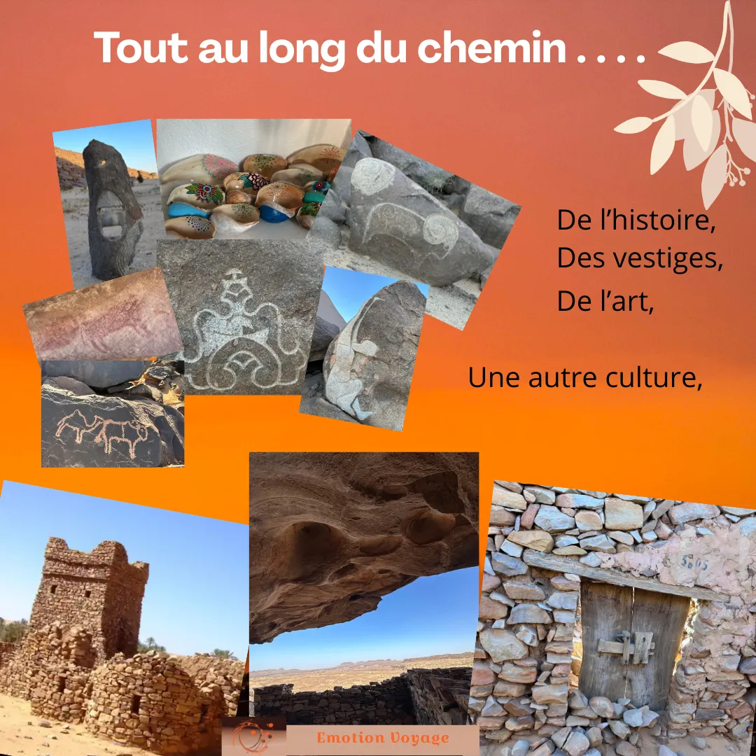 Programme du séminaire Afrique, trek 4x4 de novembre 2026 (5/6)