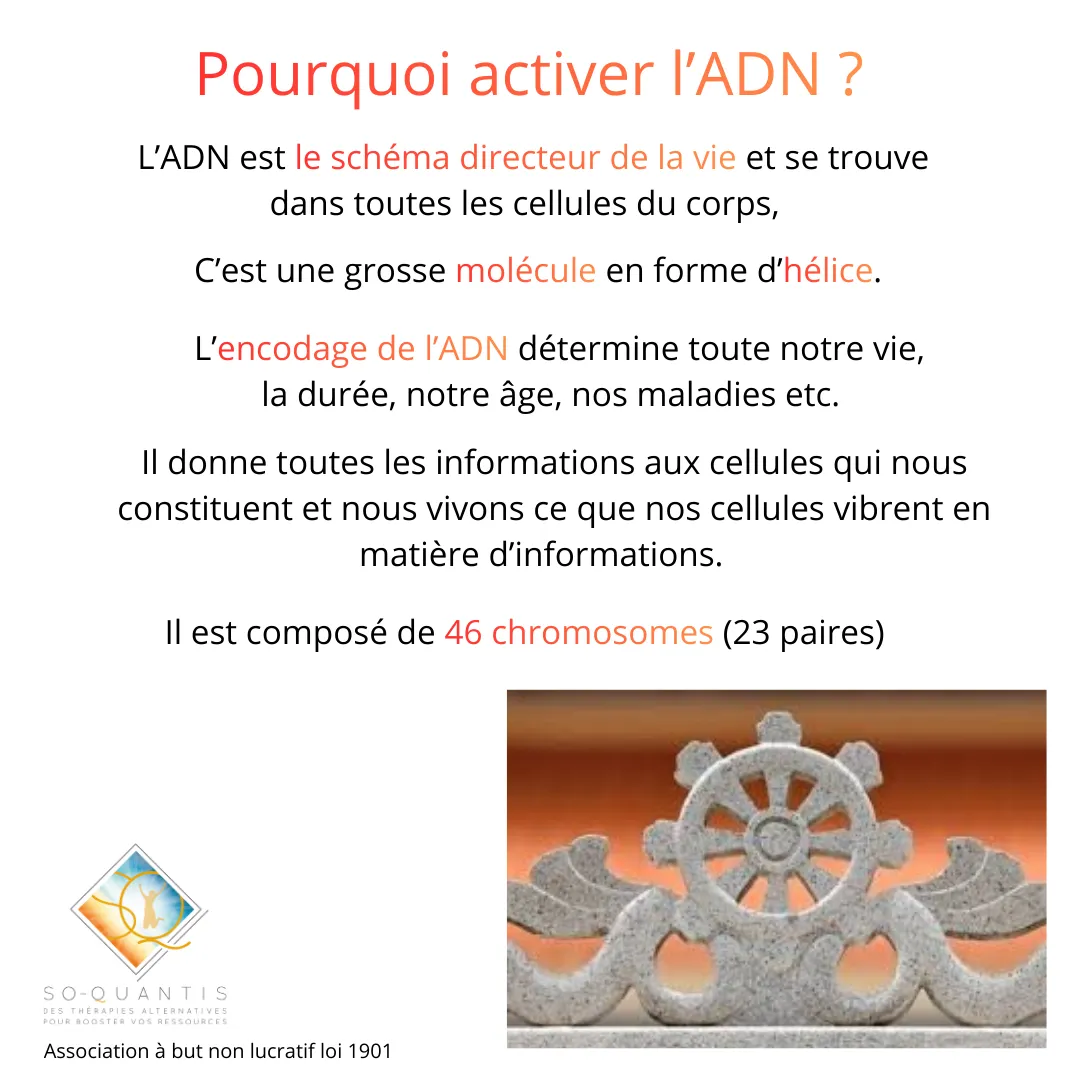 Programme du séminaire Inde de janvier 2027 (9/12)